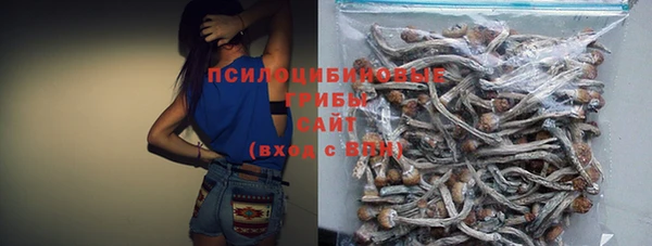 прущие грибы Аркадак