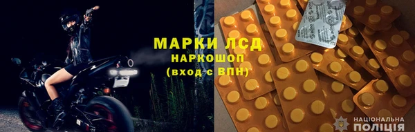 прущие грибы Аркадак