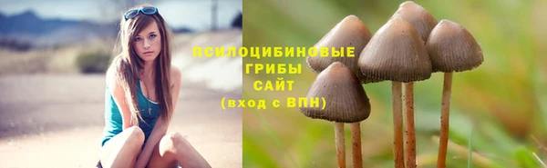 дживик Армянск