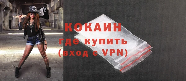 прущие грибы Аркадак